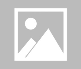 米兰体育官方网站-【早报】巴黎奥运会开幕式圆满举行！